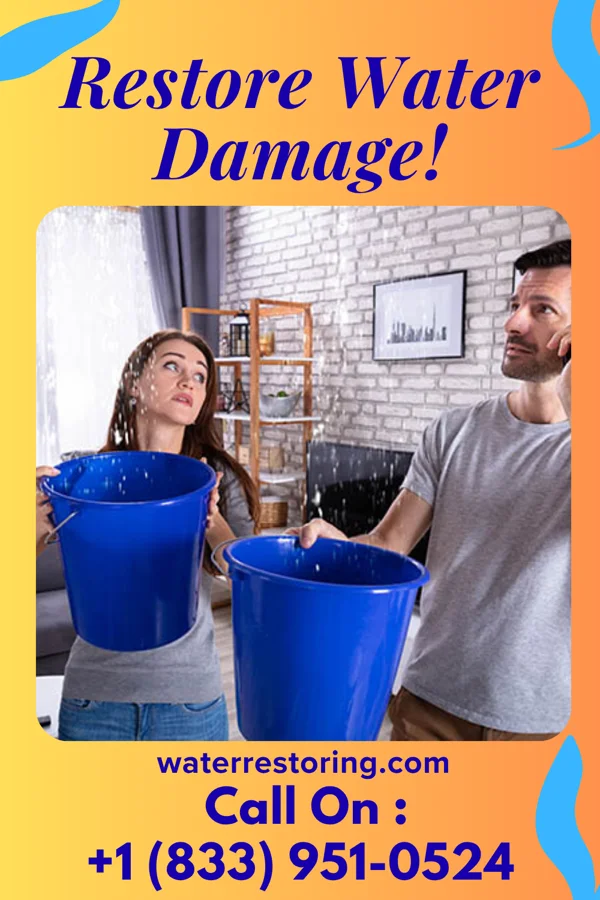 water restoration Rapid Recovery Masters Ronkonkoma